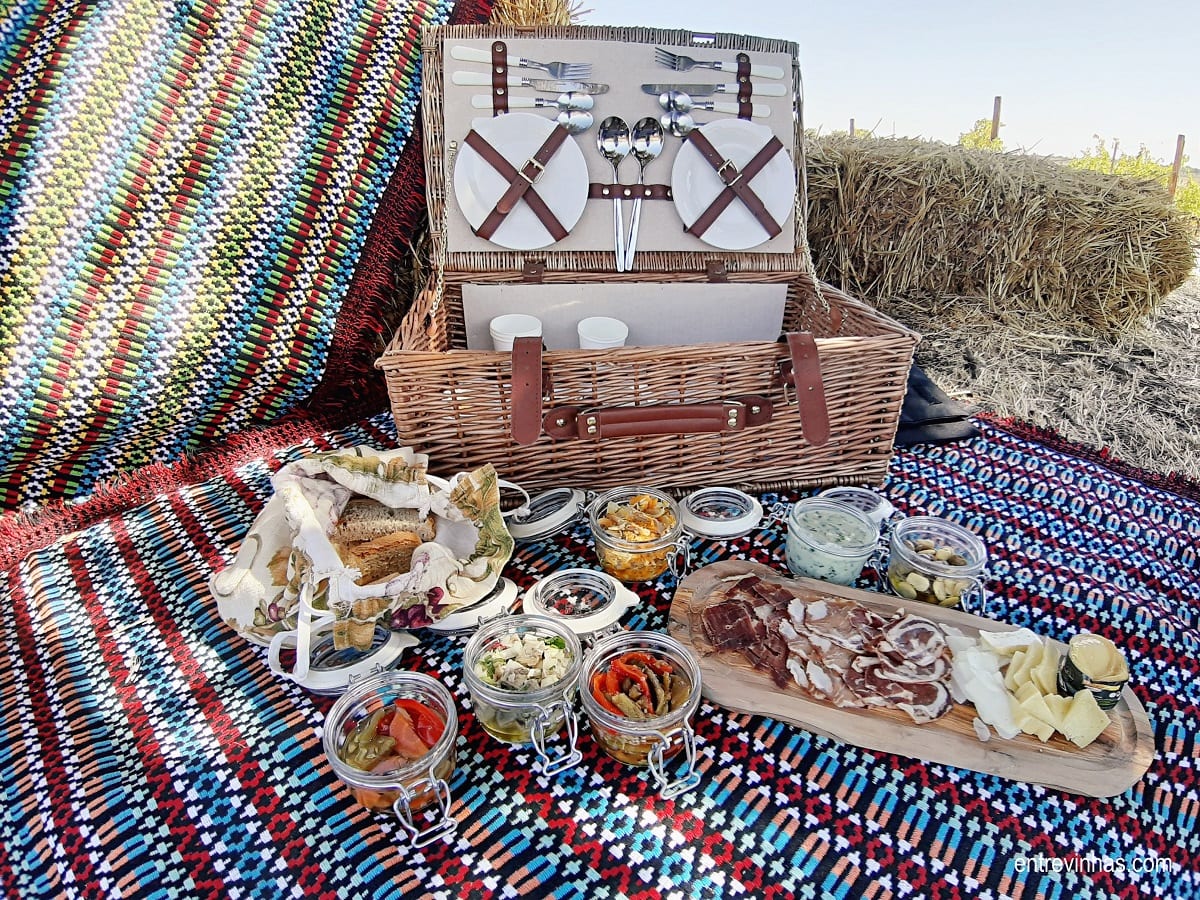 picnic na vinha